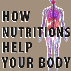 Explore your body and nutritions